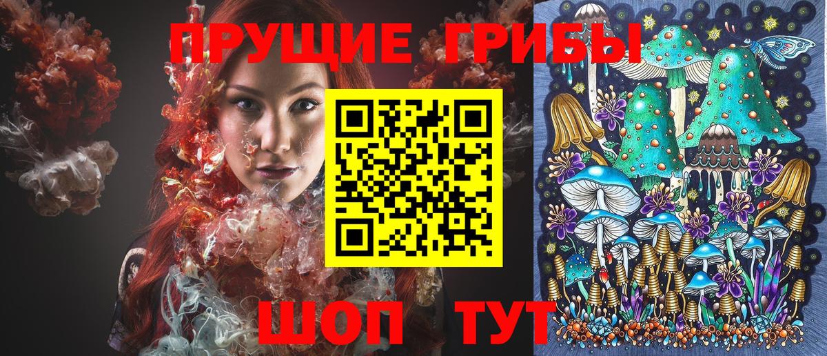 Галлюциногенные грибы MAGIC MUSHROOMS  Вход с VPN  Ачхой-Мартан 